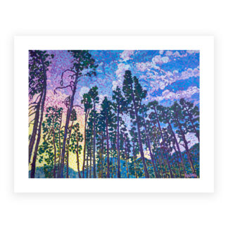 *New- Light Through the Trees Print