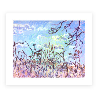 Evening Light Print