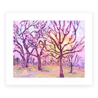Morning Light Print