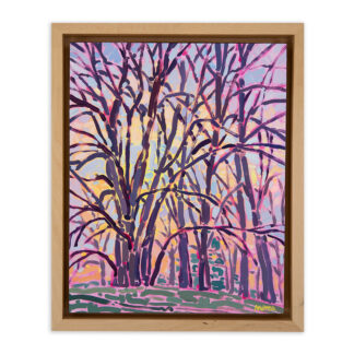 Light + Trees
