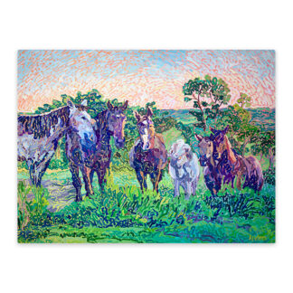 Horses