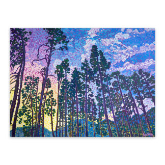 Light Through the Trees
