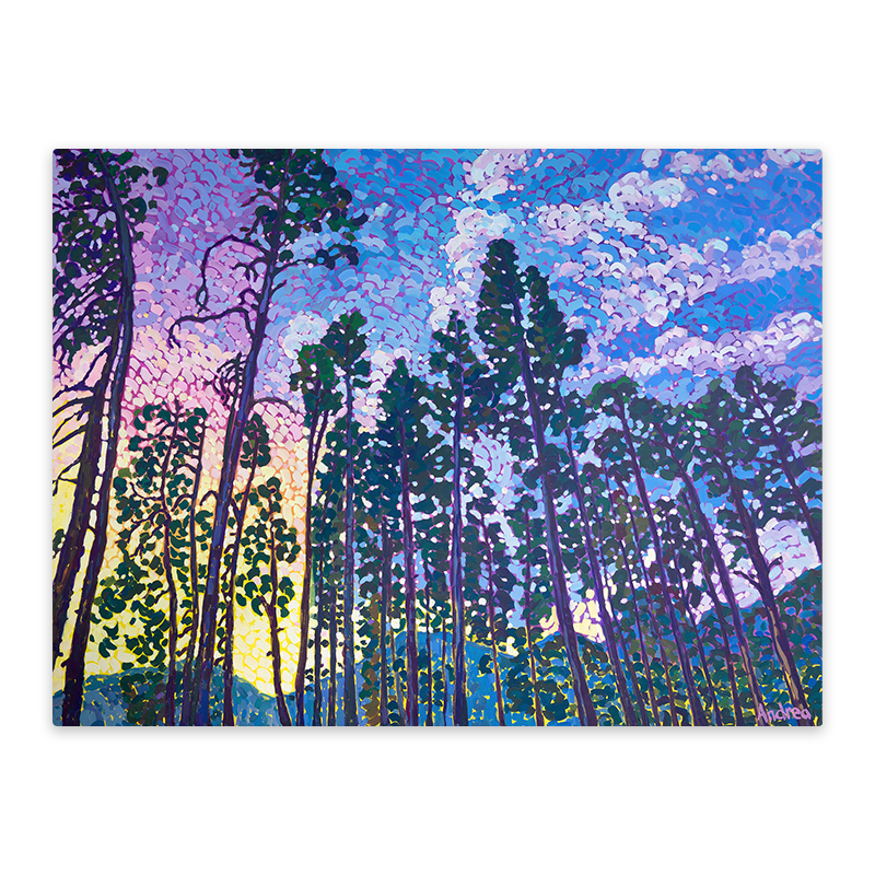 Light Through the Trees
