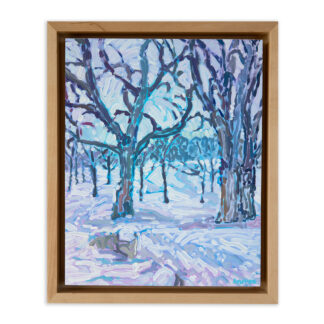 Snow Path