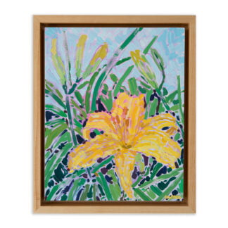 Daylily