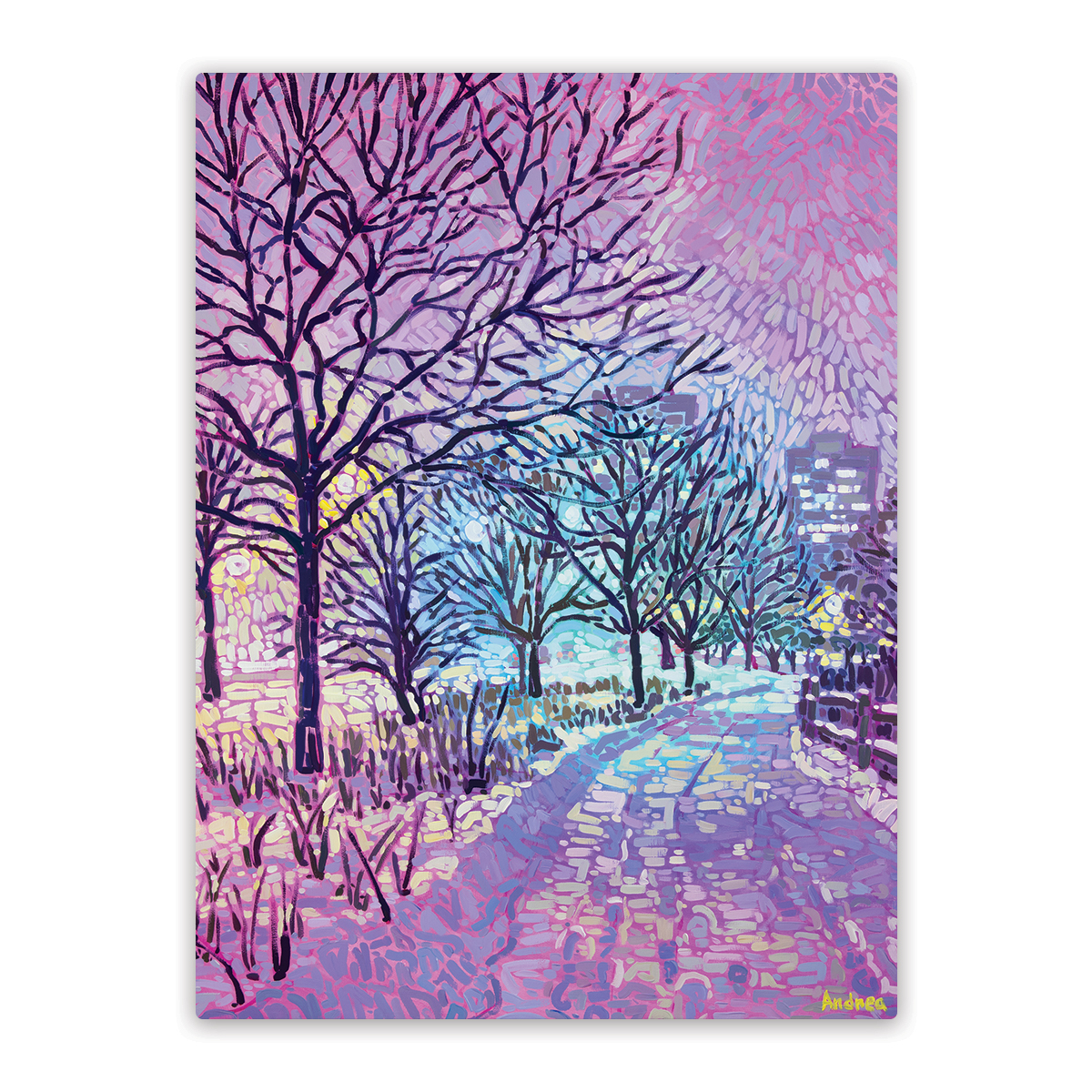Chicago Snow