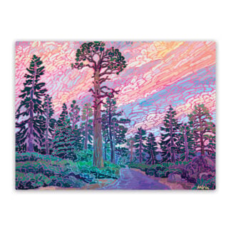 Lake Tahoe