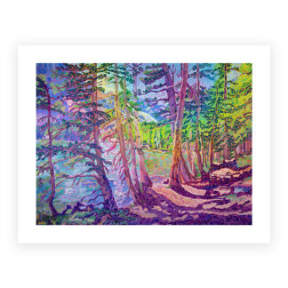 Rocky Mountain Prints
